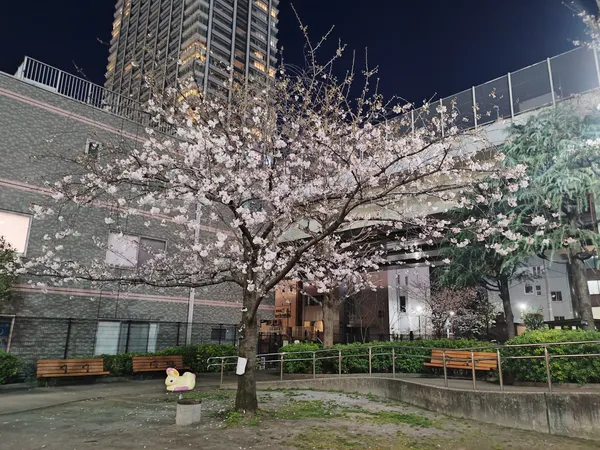 Hamamatsucho 4-Chome Children's Playground