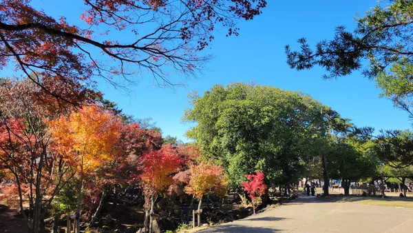 Kasuganoenchi
