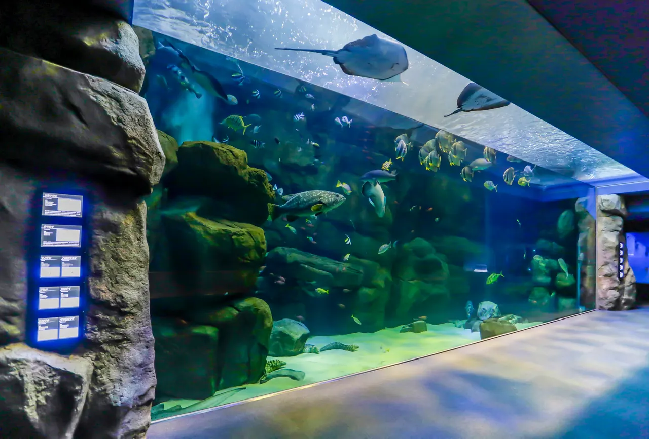 Miyajima Public Aquarium