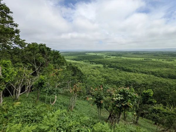 Kushiro Shitsugen National Park