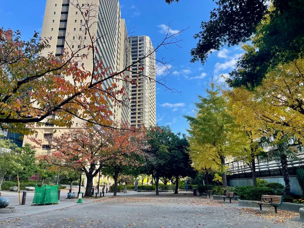 Honshiba Park