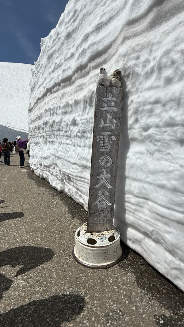 雪の大谷・パノラマロード
