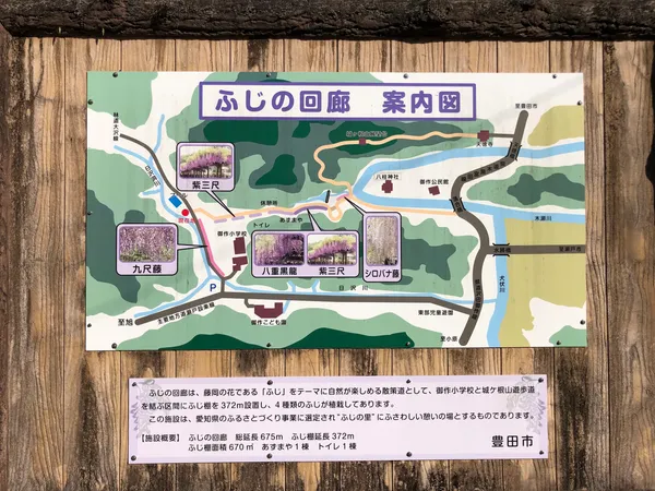 Wisteria Alley in Toyota City