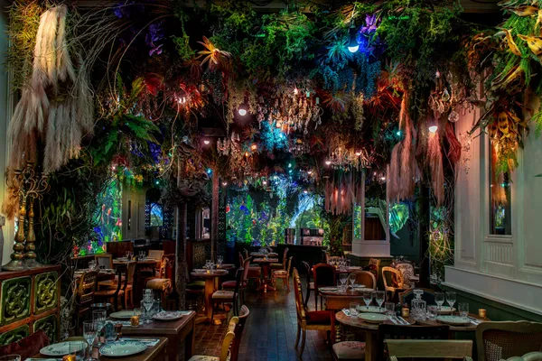 Jungle Palace