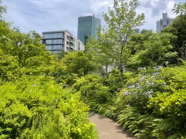 Hinokicho Park