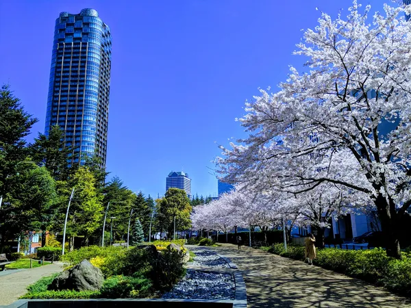 Hinokicho Park