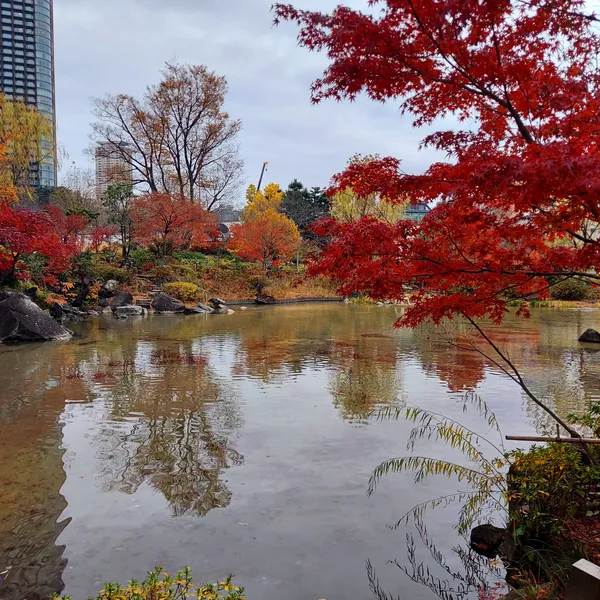 Hinokicho Park