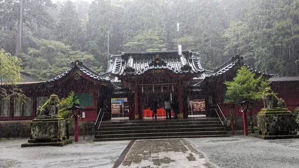 Heiwa-no-Torii (Hakone Shrine)