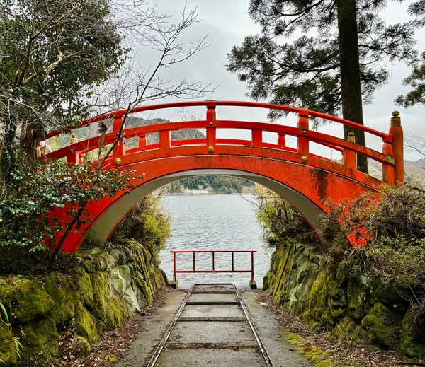 Heiwa-no-Torii (Hakone Shrine)