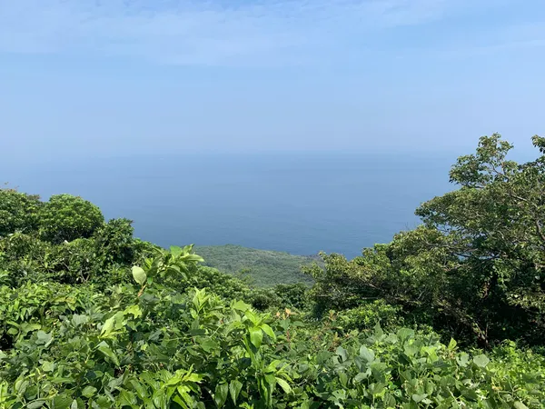 Ōshima Island