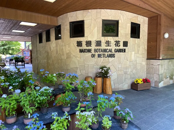 Hakone Botanical Garden of Wetlands
