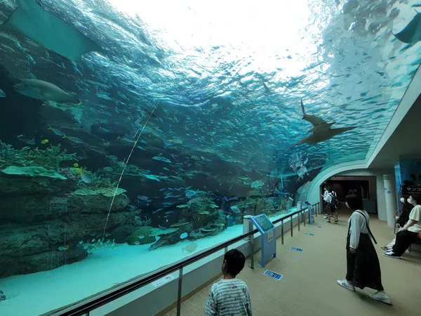 Port Of Nagoya Public Aquarium