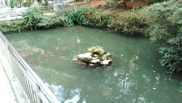 放生池