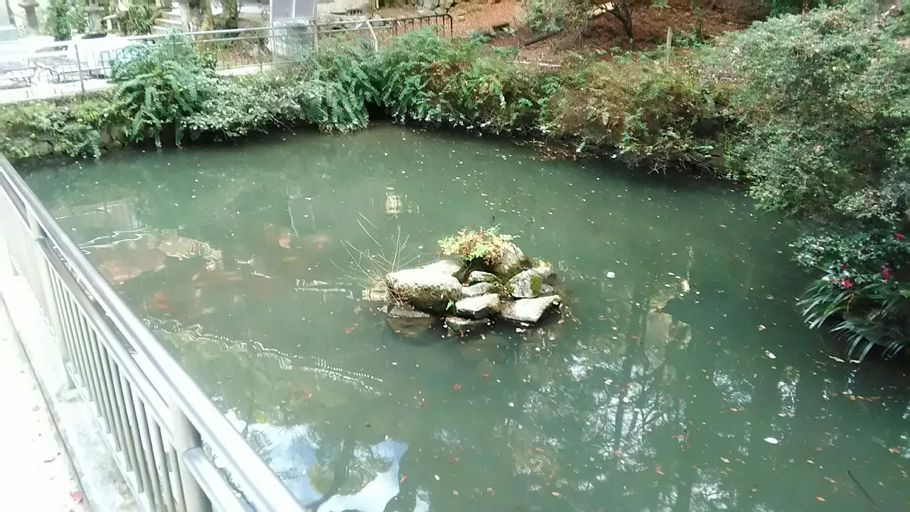放生池