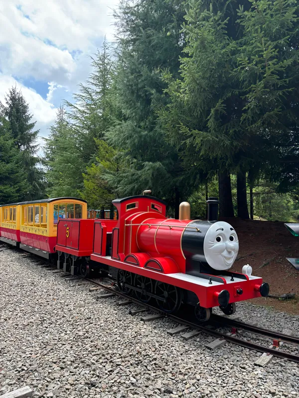 Thomas Land