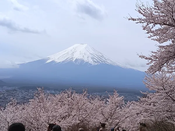 Arakurayama Sengen Park
