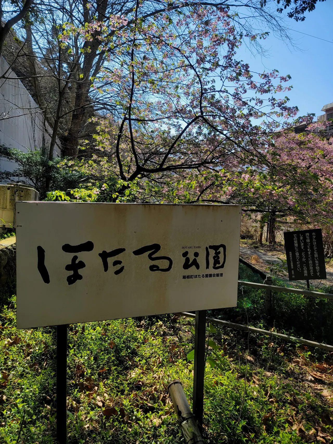 Hakone Yumoto Hotaru Park