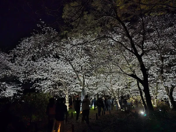 teamLab Botanical Garden Osaka