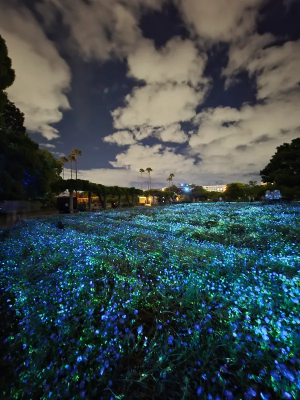 teamLab Botanical Garden Osaka