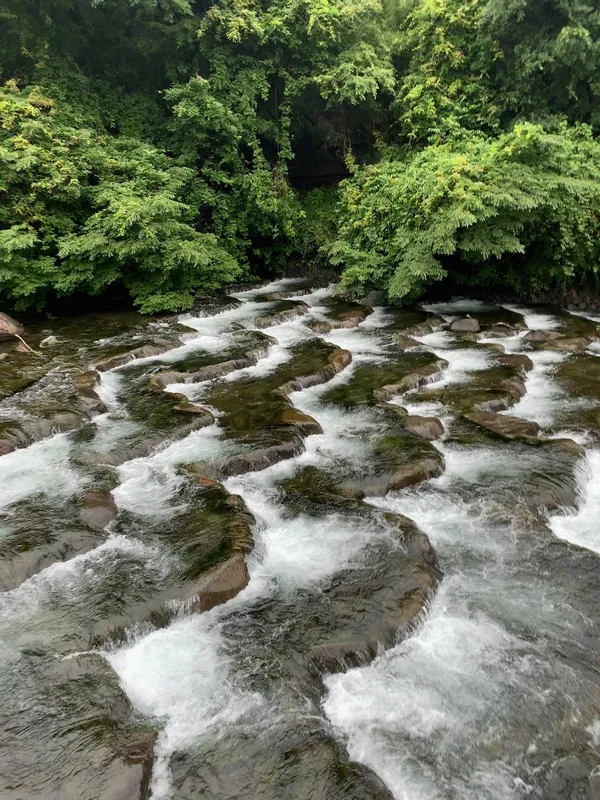 小室翠雲 別荘跡