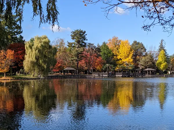 Tokiwa Park
