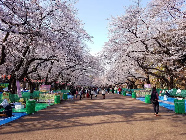 Ueno Park