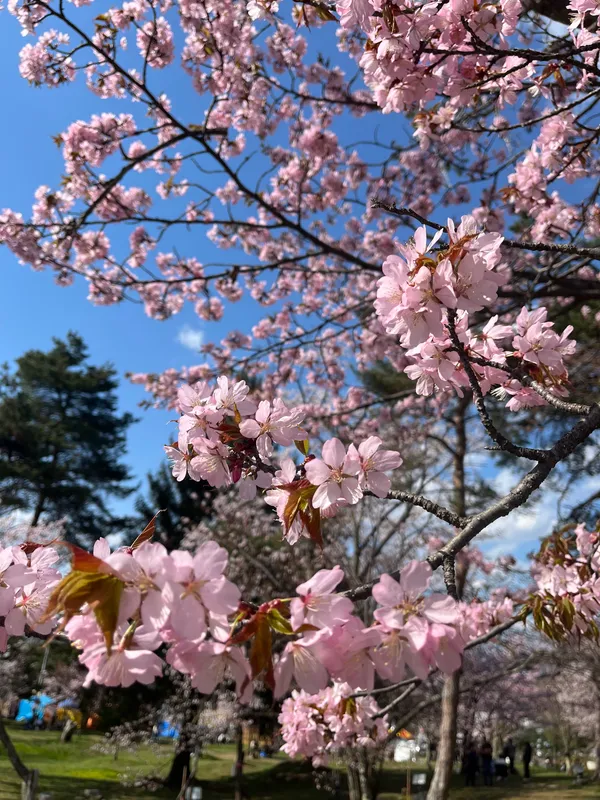 Asahiyama Park