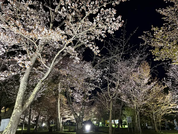 Asahiyama Park
