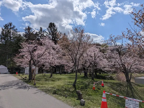 Asahiyama Park