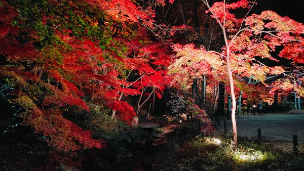 Maple Valley