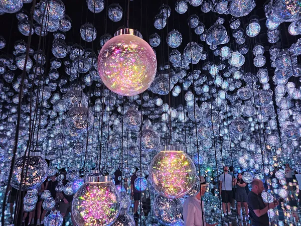 Teamlab Borderless Museum