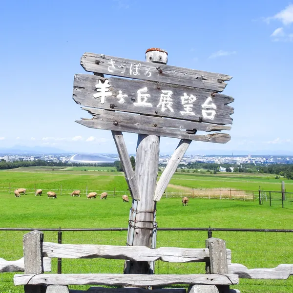 Sapporo Hitsujigaoka Observation Hill