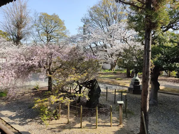 Kameyama Hontokuji temple