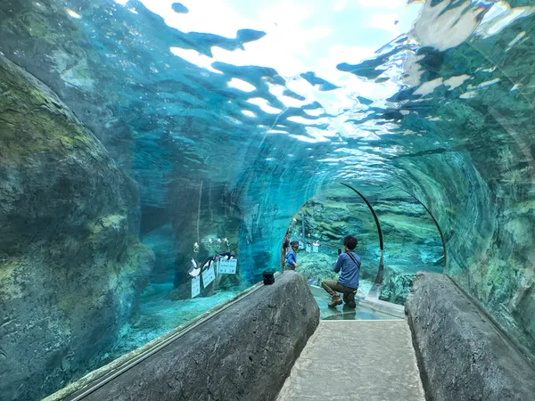 Asahiyama Zoo