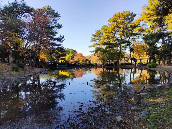 Kochogaike Pond