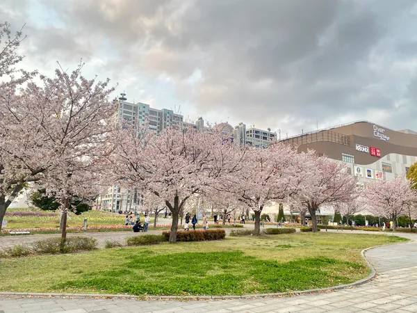 Central Square