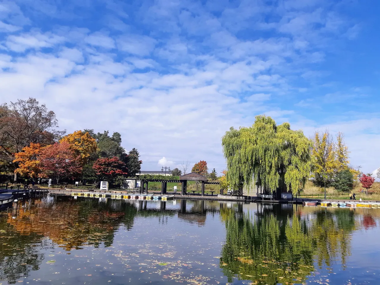Chidorigaike Pond